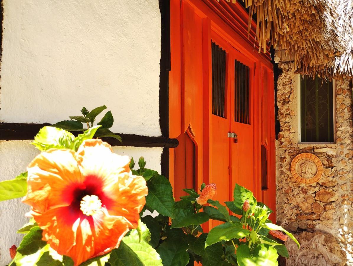 Hotel Y Museo Aldea Maya Toktli Origenes - Casa Maya Toh - Alberca, Wifi Starlink, Tour Museo 伊萨马尔 外观 照片