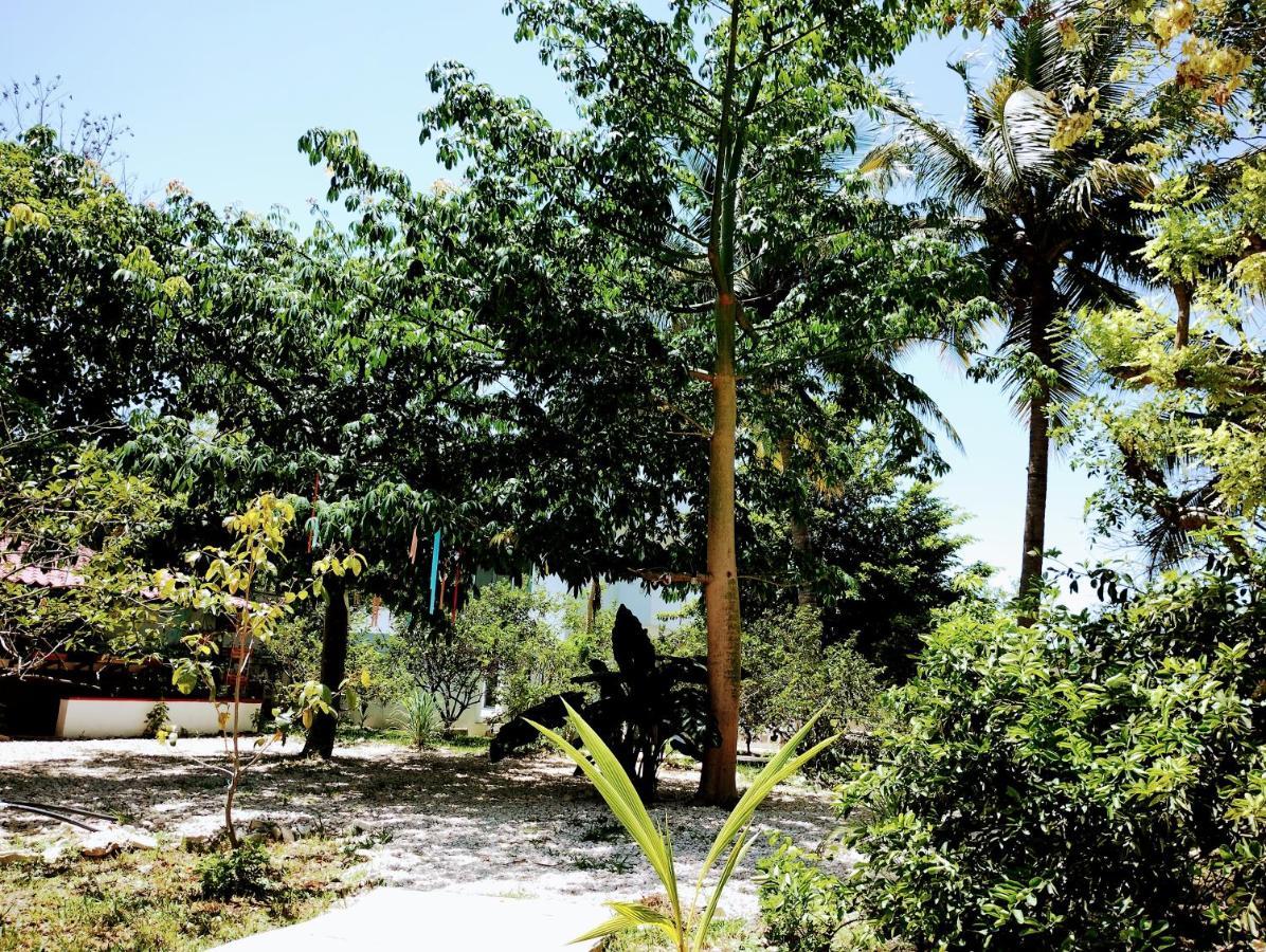 Hotel Y Museo Aldea Maya Toktli Origenes - Casa Maya Toh - Alberca, Wifi Starlink, Tour Museo 伊萨马尔 外观 照片